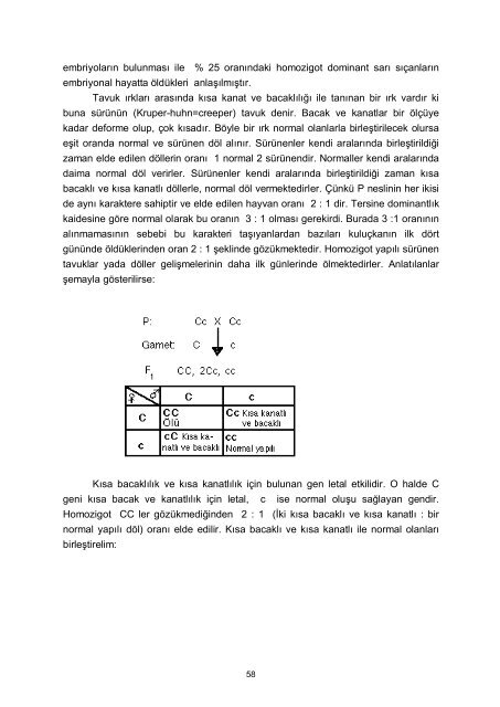 Genetik Ders NotlarÄ± 1998 - Akademik Bilgi Sistemi - Kafkas ...