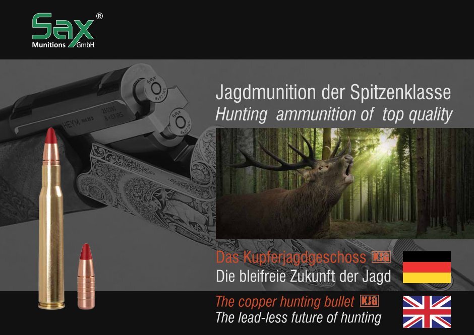 hevs bullets and more