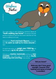 Walrus Facts: - Motlies