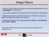 ImageJ Basics