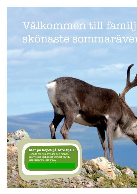 sommarkatalog (pdf) - Bengt-Martins