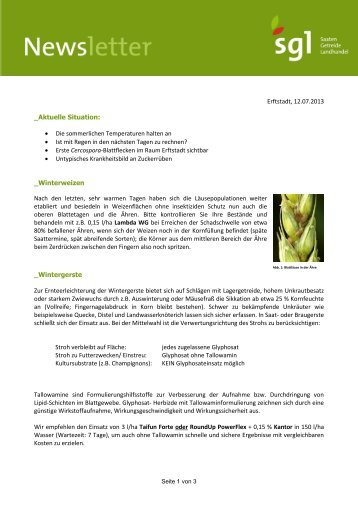 Newsletter vom 12.07.2013 - SGL GmbH