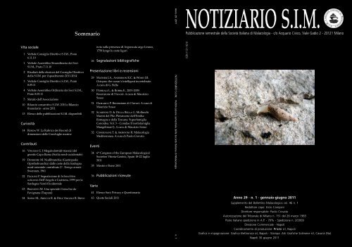 GAZZETTA UFFICIALE N 255 02 11 2006 SCARICA