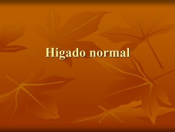 Higado normal