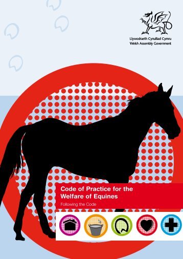 Code of Practice for the Welfare of Equines