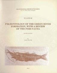 paleontology of the green river formation, with a review of the fish ...