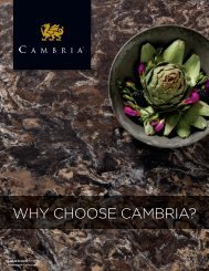 Download Our Top 10 Reasons (PDF) - Cambria