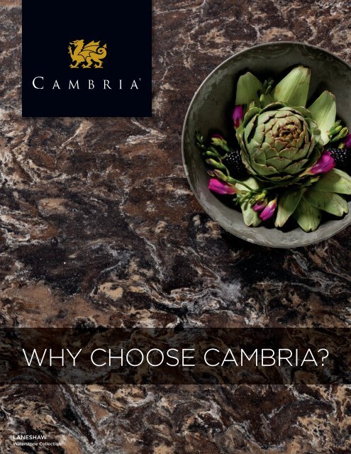 Download Our Top 10 Reasons Pdf Cambria