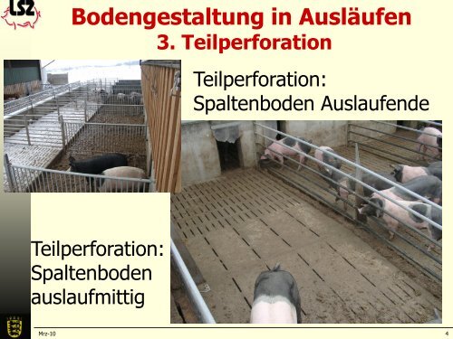 Ausläufe gestalten für die Naturland Schweinehaltung ab 2011