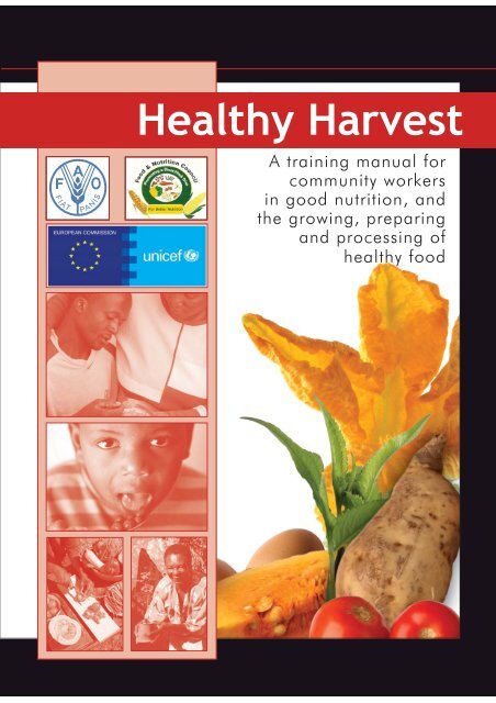 Healthy Harvest - Mother, Infant and Young Child Nutrition ...