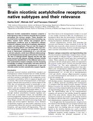 Brain nicotinic acetylcholine receptors: native ... - Ricehoppers