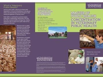 download the brochure - The University of Tennessee College of ...