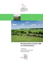 Managementplanung Natura 2000 im Land  ... - NaturSchutzFonds