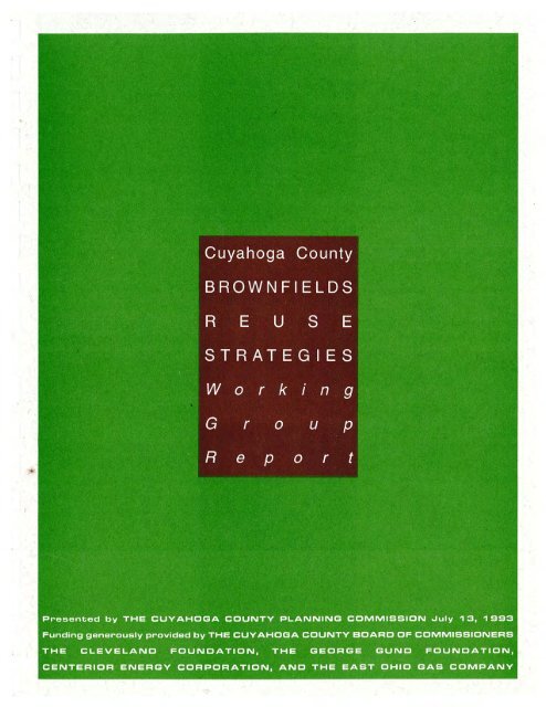 Brownfields Reuse Strategies Working Group Report - Cuyahoga ...