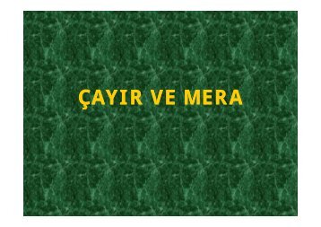 Ã§ayÄ±r ve mera