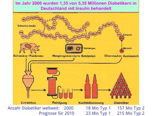 Diabetes = Insulinmangel