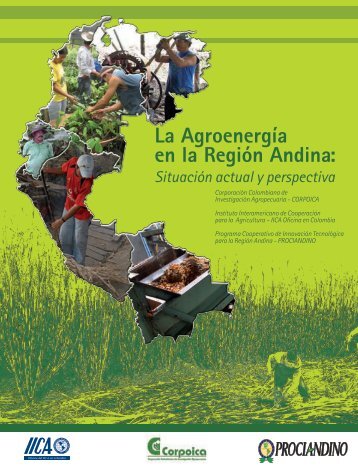 La AgroenergÃ­a en la RegiÃ³n Andina - Instituto Interamericano de ...