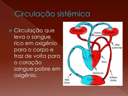 Sistema Cardiovascular - La Salle