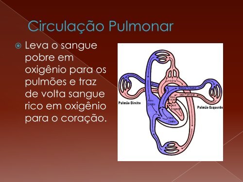 Sistema Cardiovascular - La Salle