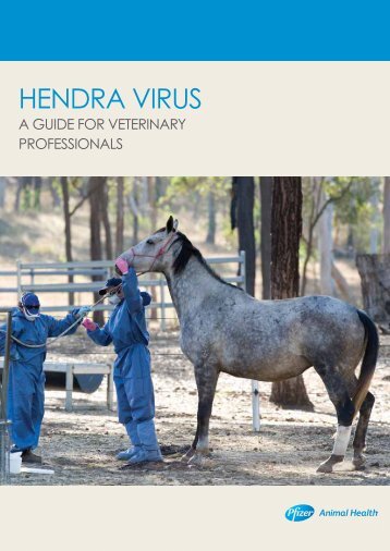 Hendra virus - Australian Veterinary Association
