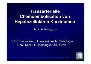 Transarterielle Chemoembolisation von HepatozellulÃ¤ren Karzinomen