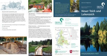 Neuer Teich und Lakenteich - Naturpark Solling-Vogler