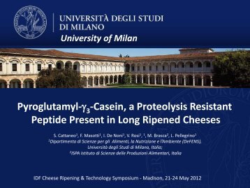 p-Î³3-CN - IDF Cheese Ripening