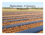 Plasticulture: A Grower's Perspective - Kerr Center