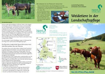 Weidetiere in der Landschaftspflege - Naturpark Solling-Vogler