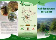 Auf den Spuren der Gallier - Naturpark Südeifel