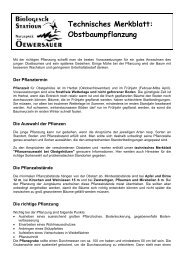 Technisches Merkblatt: Obstbaumpflanzung