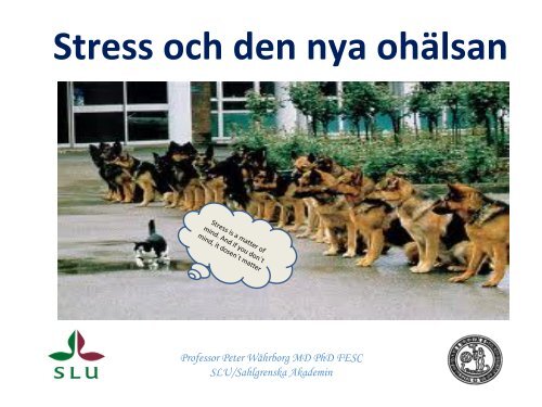 Presentation Stress och den nya ohälsan