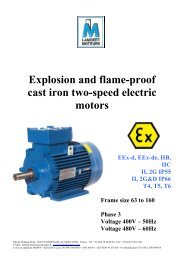 Explosion and flame-proof cast iron two-speed electric motors