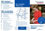 Siebdruck (PDF 3.7 MB) - FLACHGLAS Wernberg