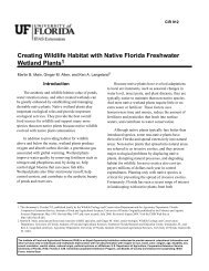 Creating Wildlife Habitat with Native Florida Freshwater Wetland ...