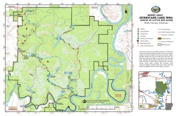 11x17 Detailed Map