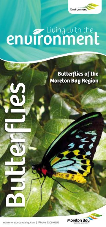 Butterflies Factsheet - Moreton Bay Regional Council