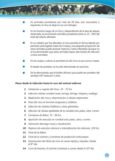 Manual Ecuador.FH10 - Oficina Regional de la FAO para AmÃ©rica ...