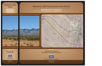 Rosemont 138kV Transmission Line Project Application ... - TEP.com