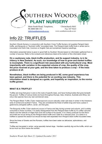 Info 22 - Truffles - Southern Woods