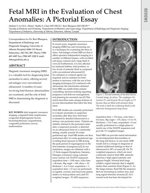radiology essay