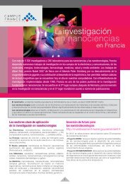 La investigaciÃ³n en nanociencias en Francia