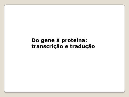 Dogma central da biologia molecular