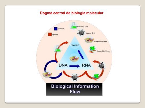 Dogma central da biologia molecular