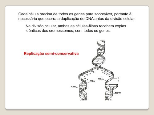 Dogma central da biologia molecular