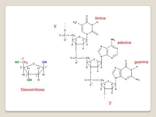 Dogma central da biologia molecular