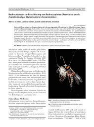 durch Polysphincta rufipes (Hymenoptera: Ichneumonidae)