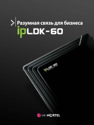 ipLDK-60: Разумная связь для бизнеса