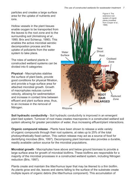 The use of constructed wetlands for wastewater treatment