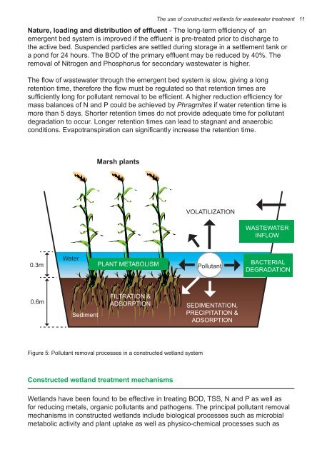 The use of constructed wetlands for wastewater treatment